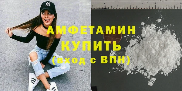 мет Алексин