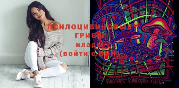 мет Алексин